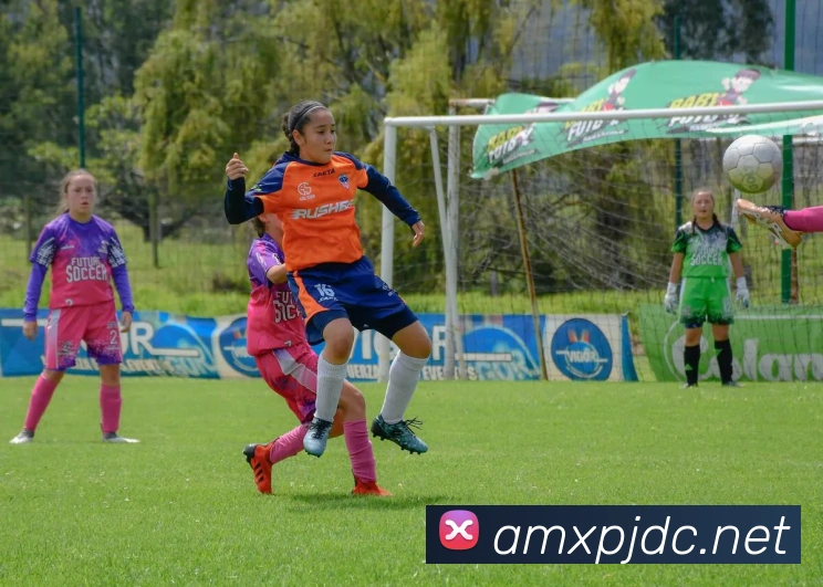 体育App 体育App